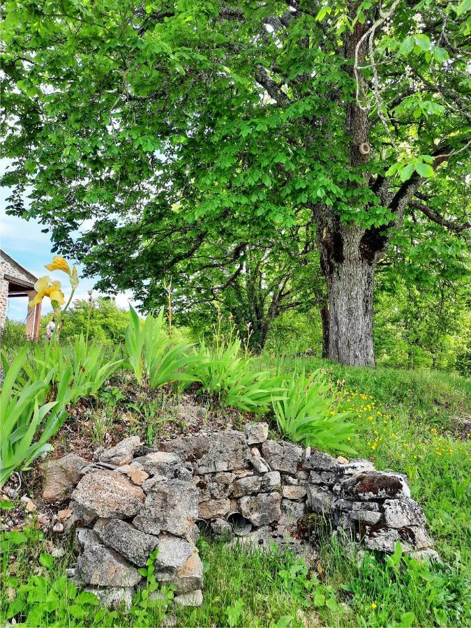 Le Marronnier Daire Niozelles Dış mekan fotoğraf