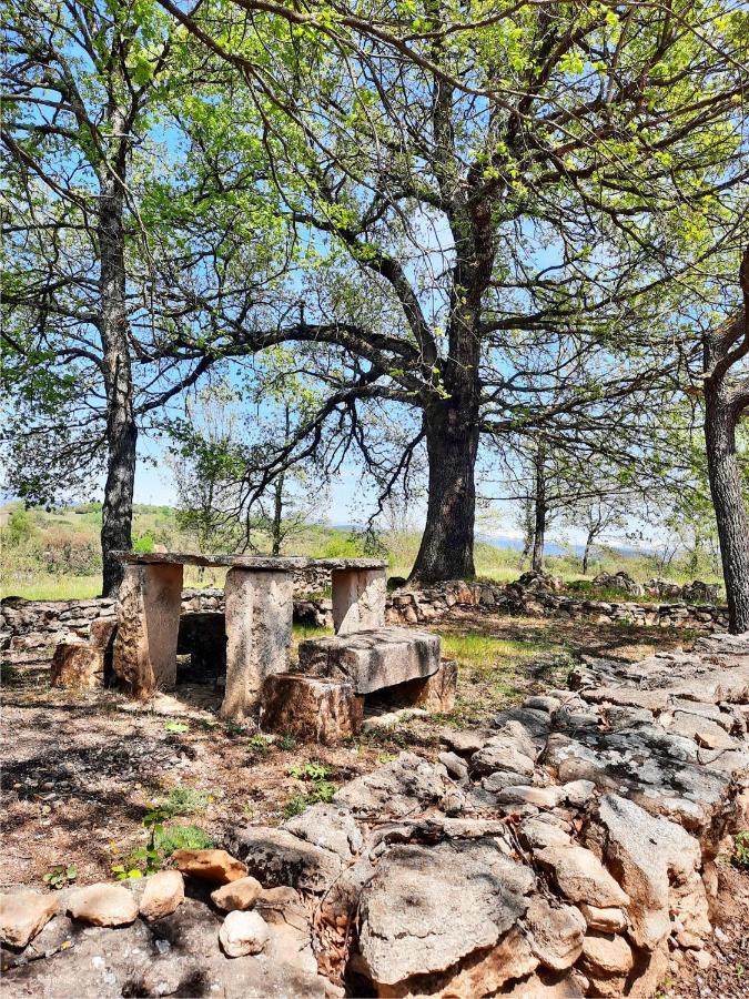 Le Marronnier Daire Niozelles Dış mekan fotoğraf