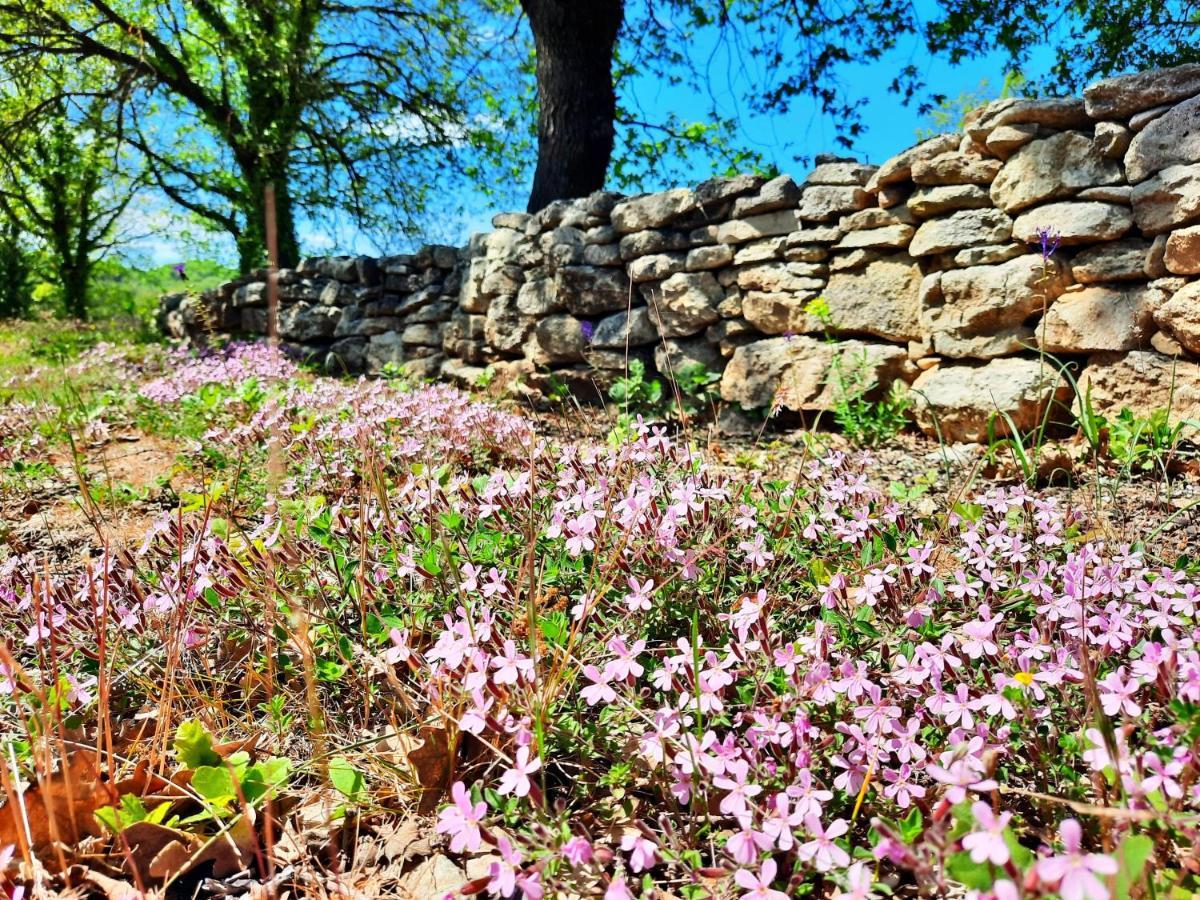 Le Marronnier Daire Niozelles Dış mekan fotoğraf