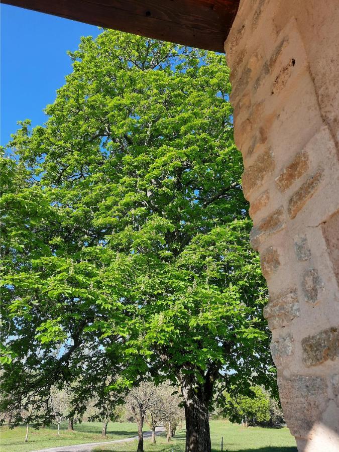Le Marronnier Daire Niozelles Dış mekan fotoğraf