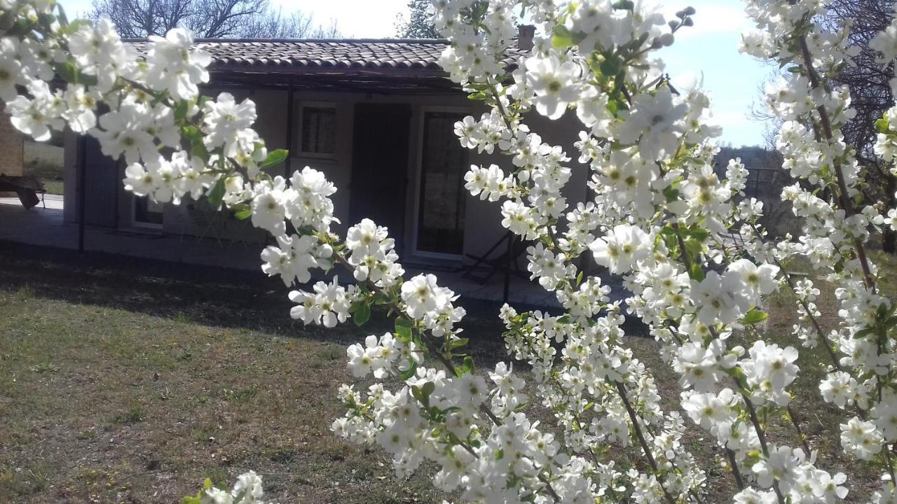 Le Marronnier Daire Niozelles Dış mekan fotoğraf
